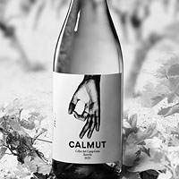 20240422_BotellaCalmut_CampGranVilafrancaDelPenedes_7500513 copia.jpg